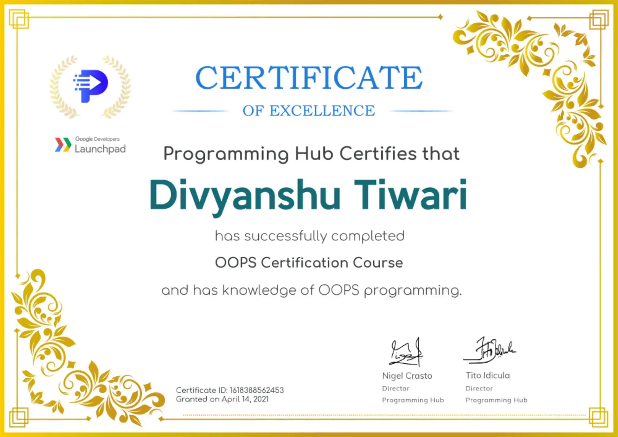 Programming Hub OOPS Certificate